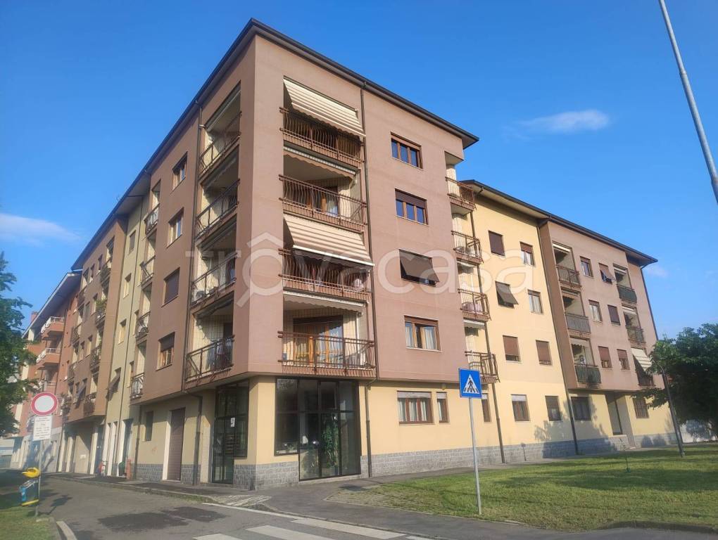 immagine annuncio 1 di 15