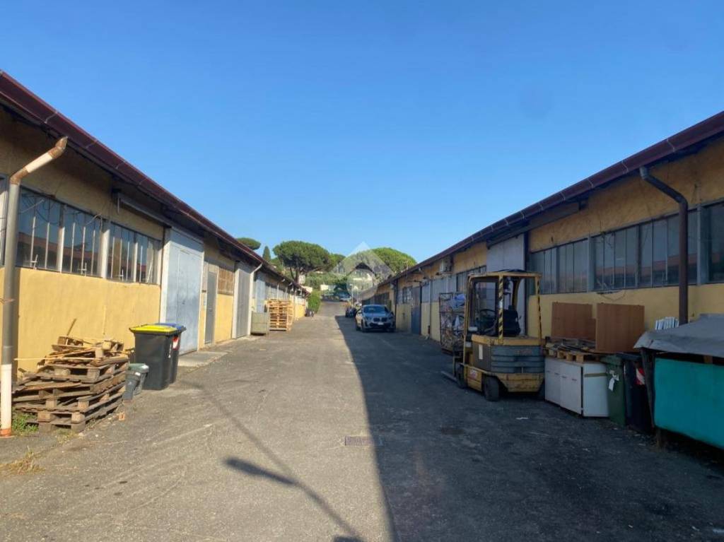 immagine annuncio 2 di 10