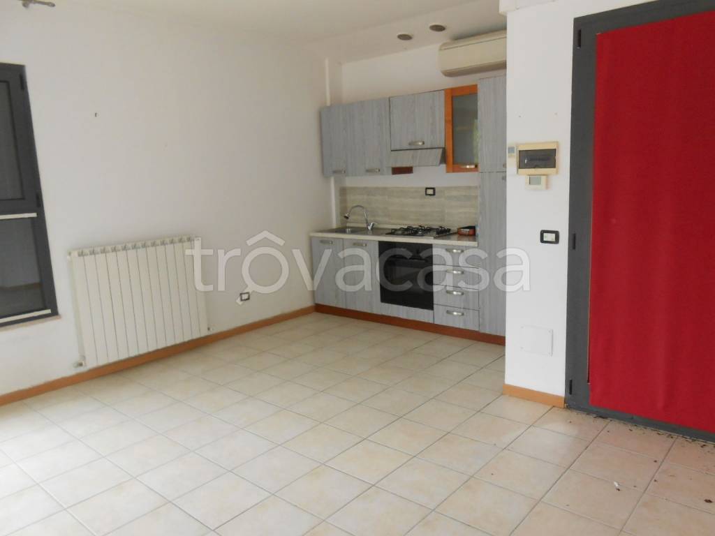 immagine annuncio 2 di 14