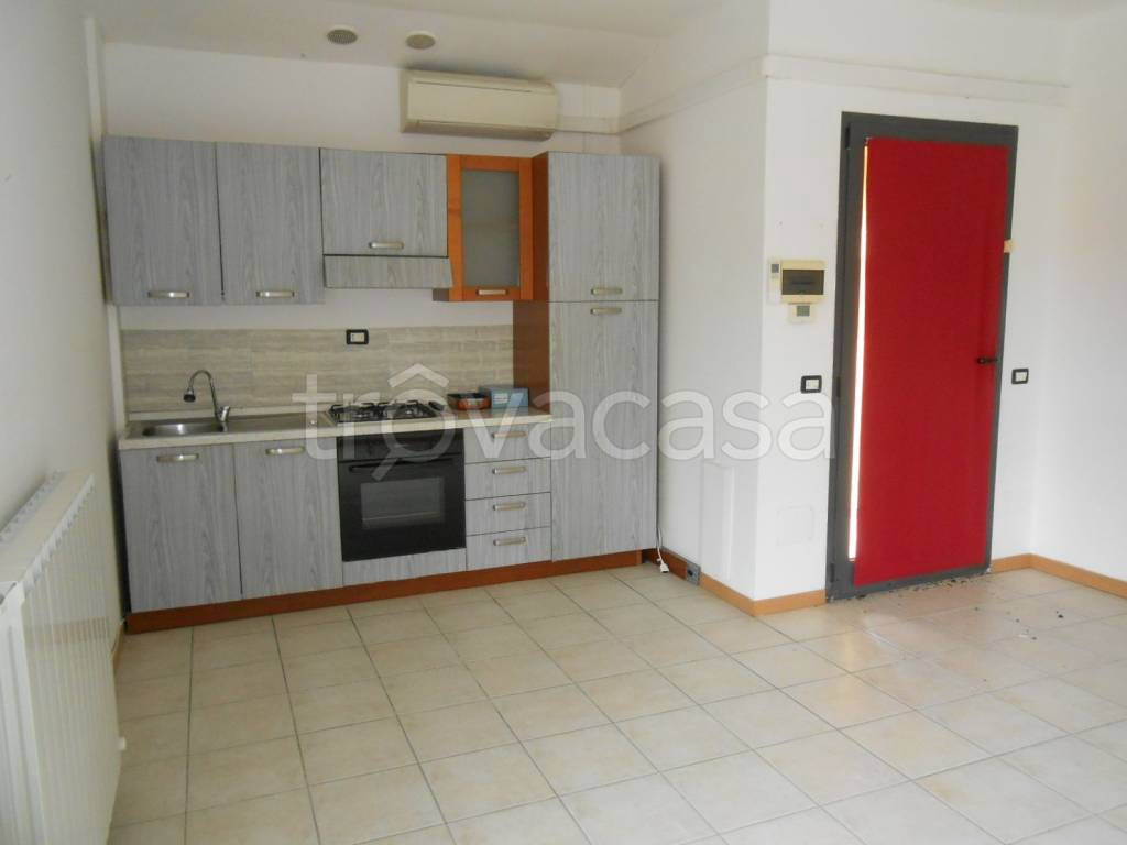 immagine annuncio 3 di 14