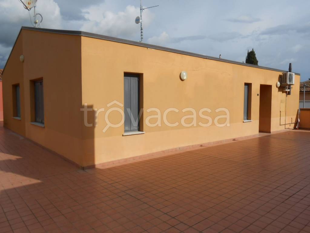 immagine annuncio 12 di 14