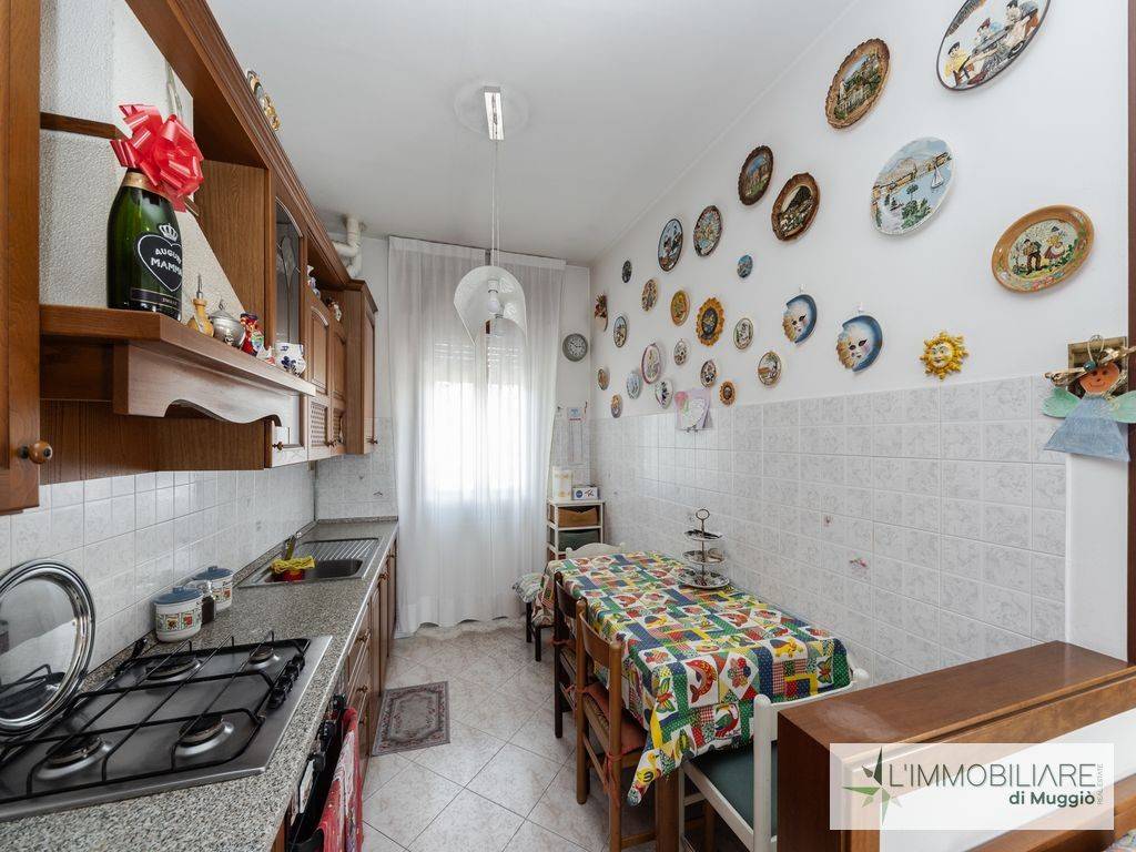 immagine annuncio 11 di 15