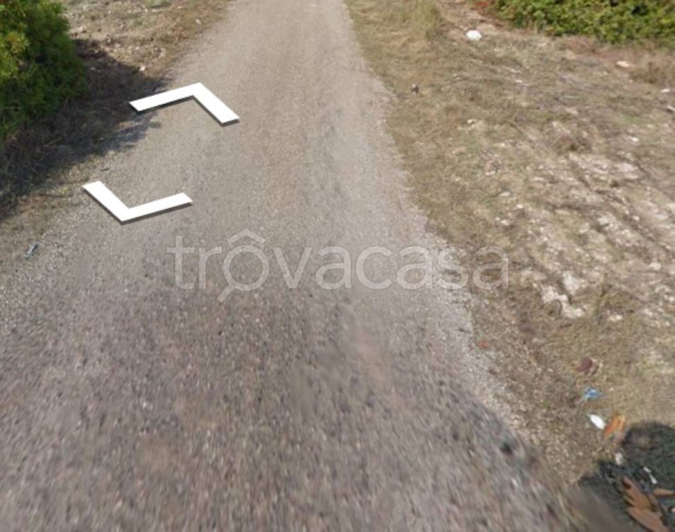 immagine annuncio 9 di 12