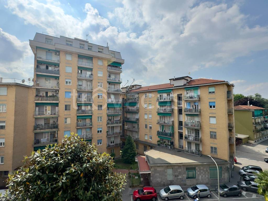 immagine annuncio 12 di 15