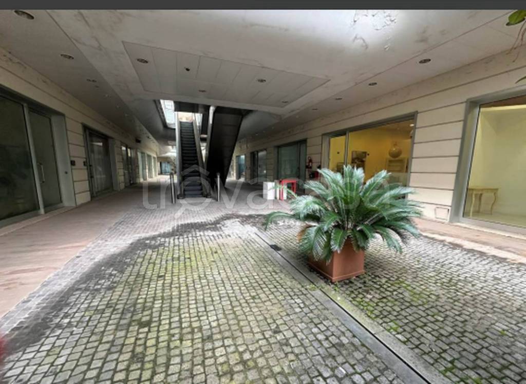 immagine annuncio 11 di 14