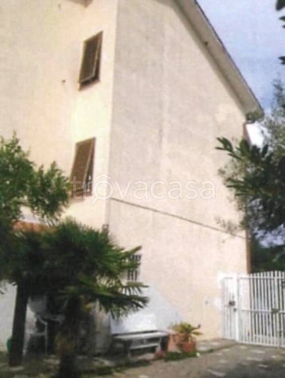 immagine annuncio 9 di 14