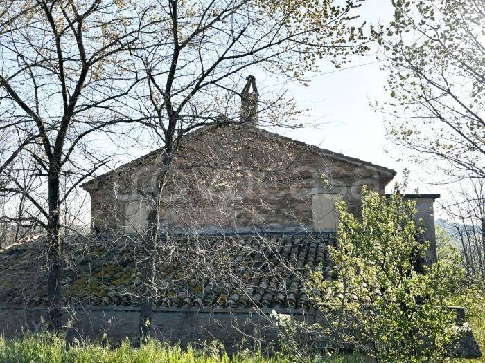 immagine annuncio 6 di 8