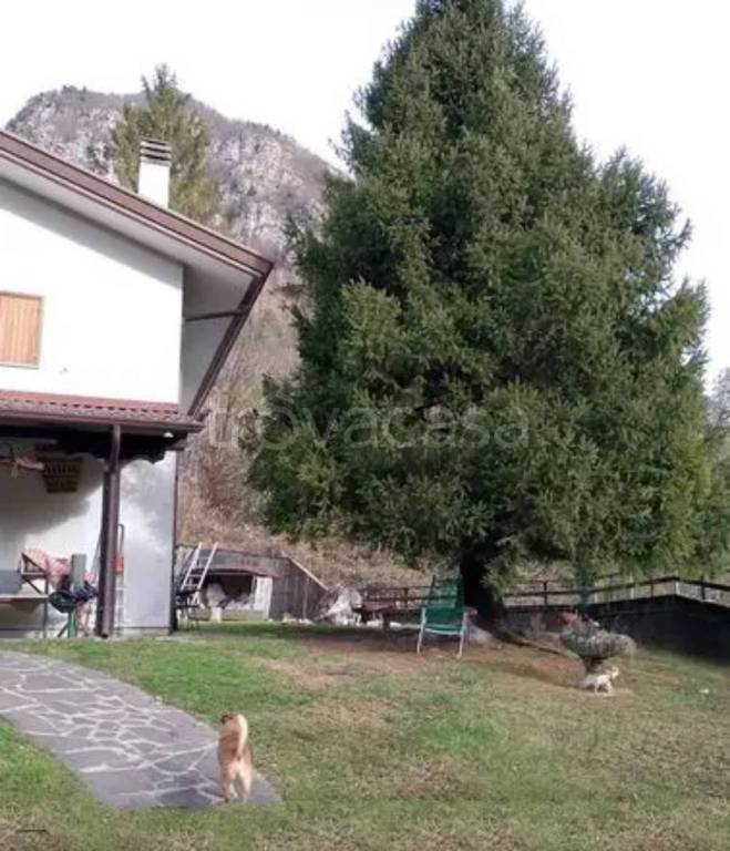 immagine annuncio 1 di 6