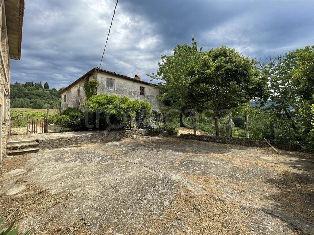 immagine annuncio 9 di 14