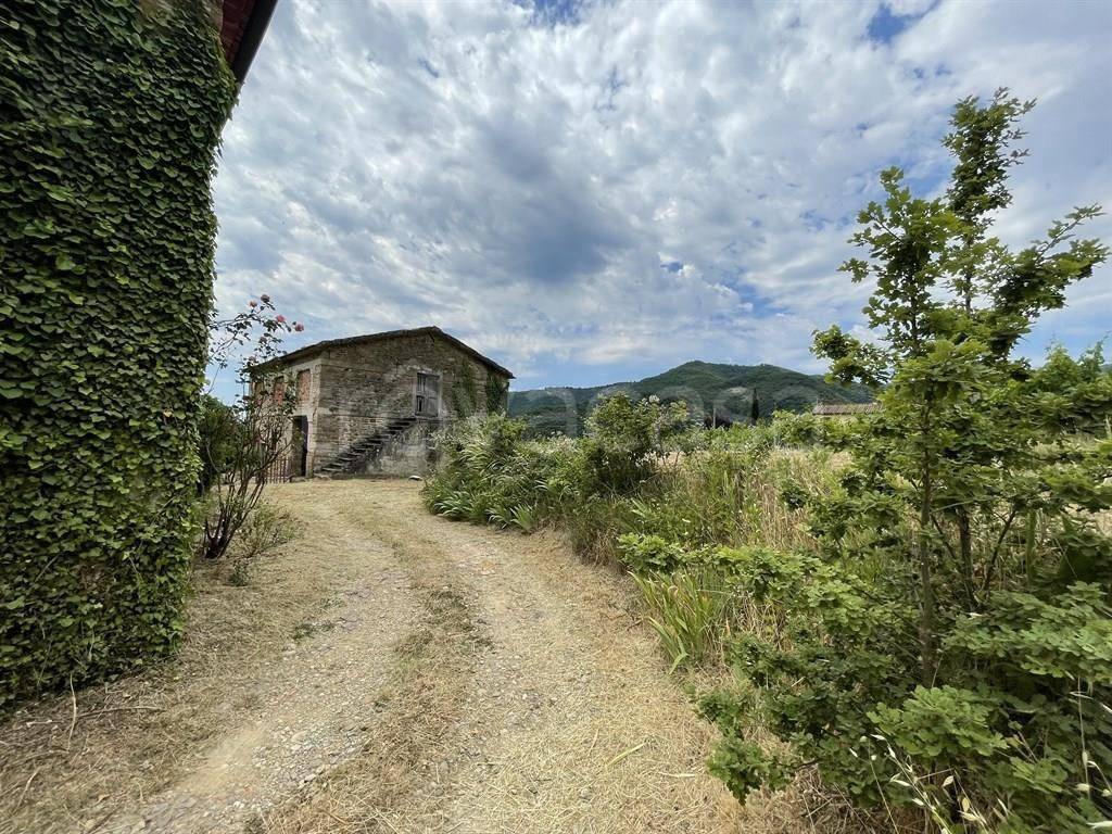 immagine annuncio 11 di 14