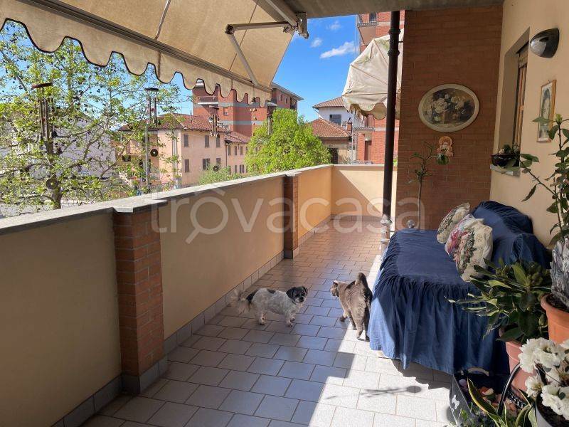 immagine annuncio 10 di 15