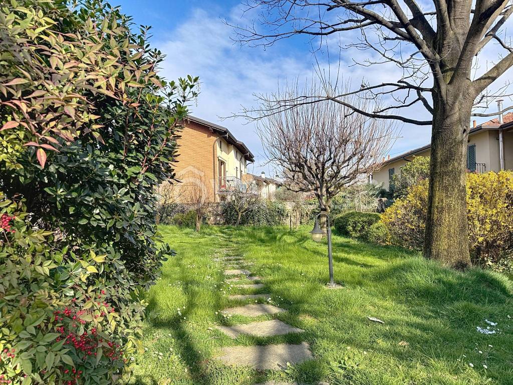 immagine annuncio 4 di 15