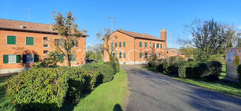 immagine annuncio 9 di 12