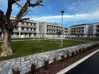 Appartamento in affitto a saccolongo 