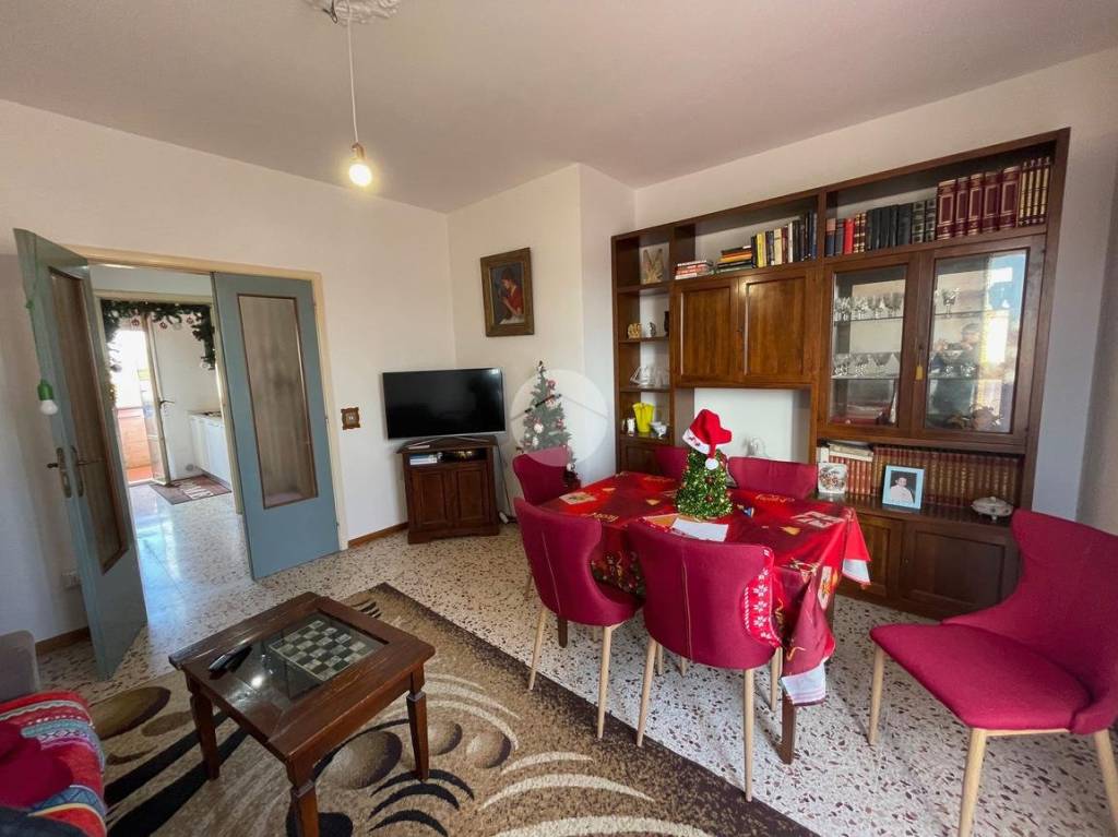 immagine annuncio 1 di 14