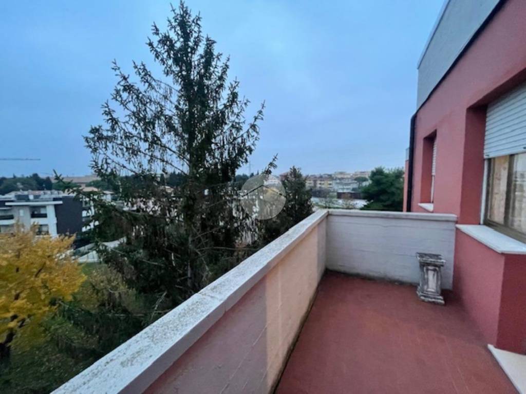immagine annuncio 3 di 14