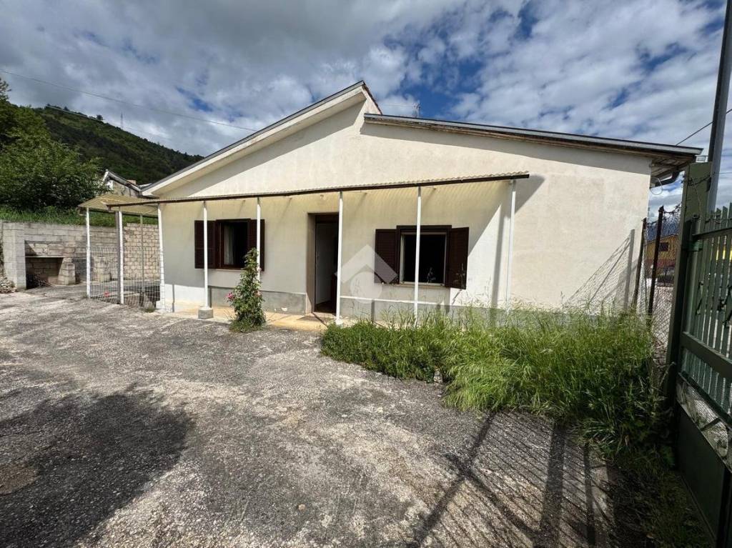 immagine annuncio 1 di 14