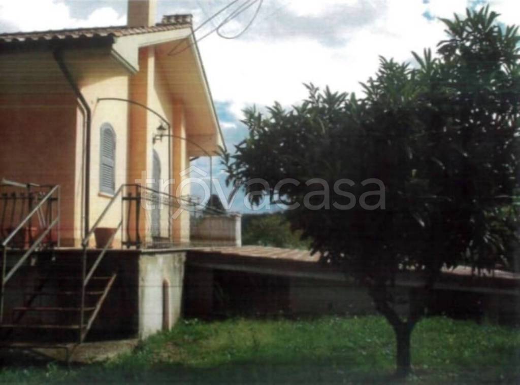 immagine annuncio 10 di 14