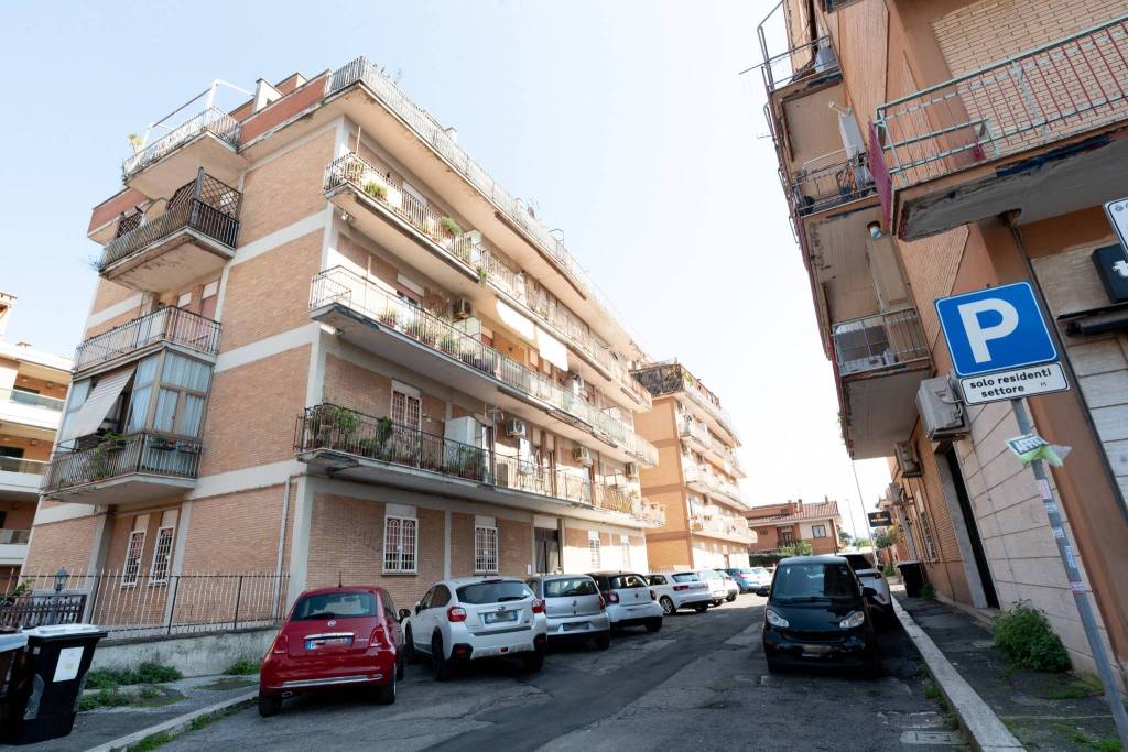 immagine annuncio 1 di 12