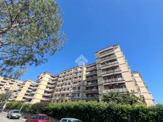 Appartamento in affitto a bari de laurentis, 6