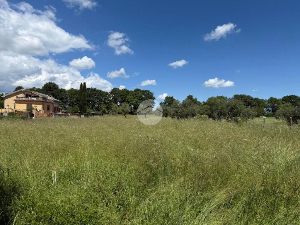 immagine annuncio 7 di 9