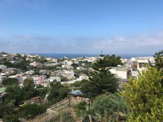 Appartamento in vendita a ischia 