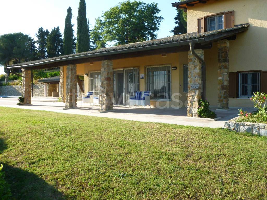 immagine annuncio 9 di 12