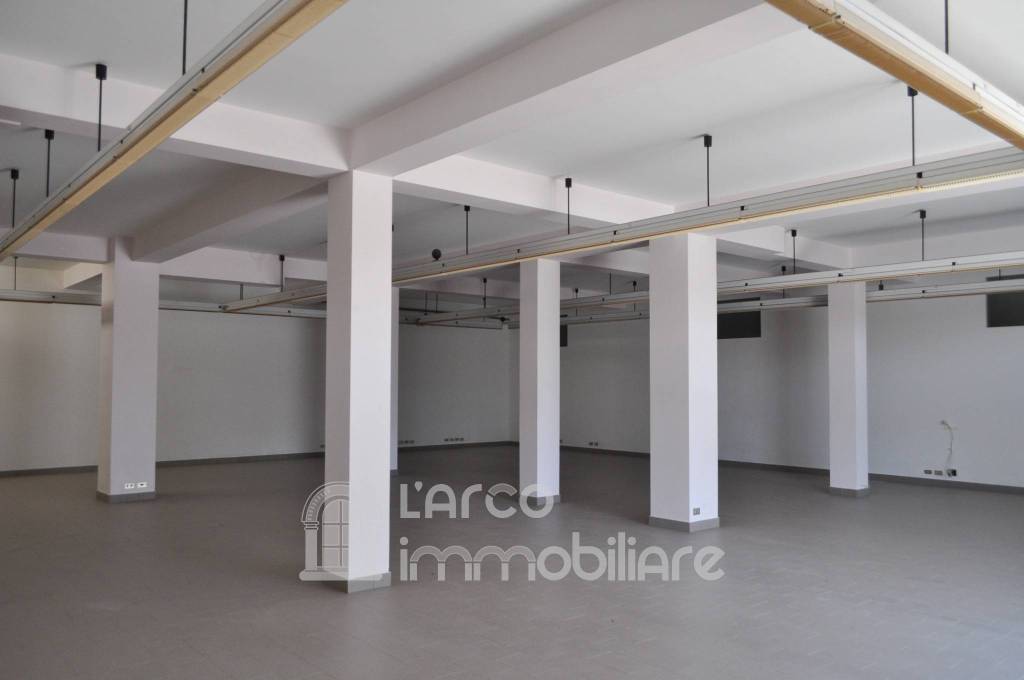 immagine annuncio 4 di 14