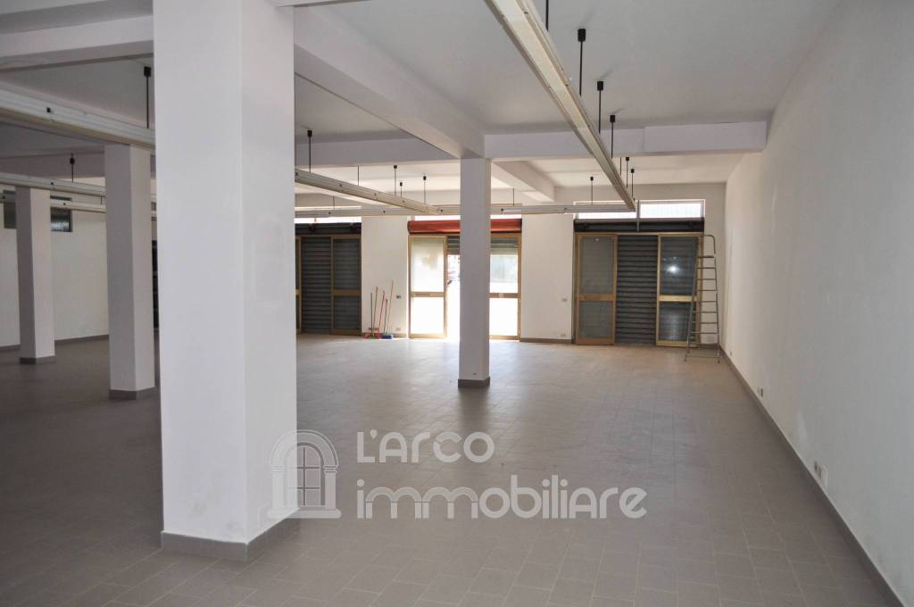 immagine annuncio 9 di 14