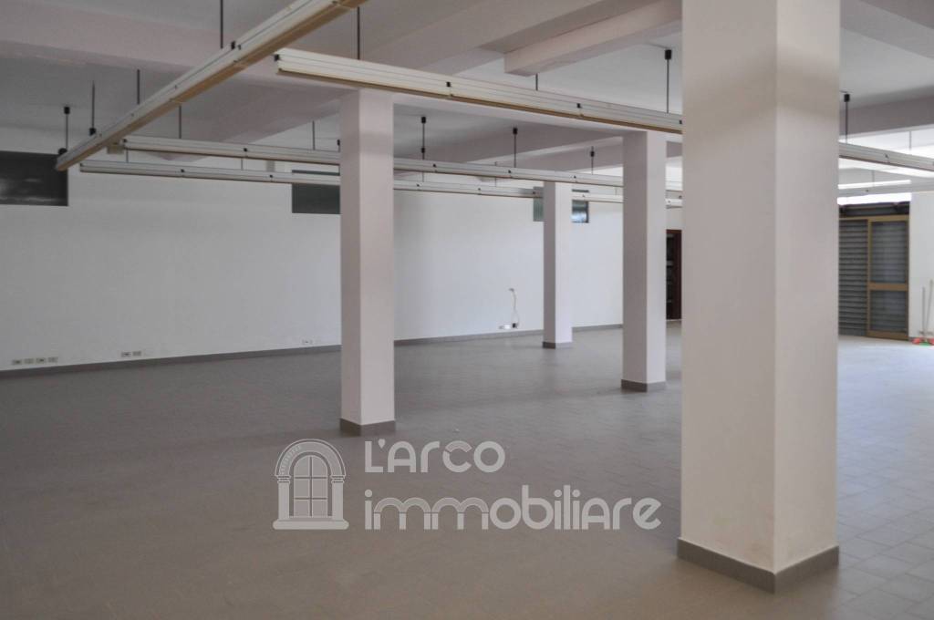immagine annuncio 10 di 14