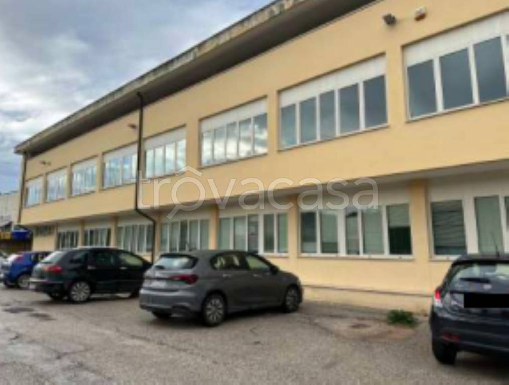 immagine annuncio 9 di 11