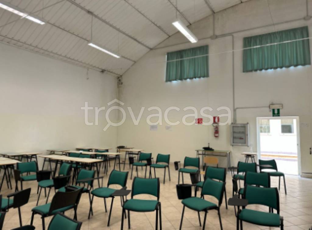 immagine annuncio 10 di 11