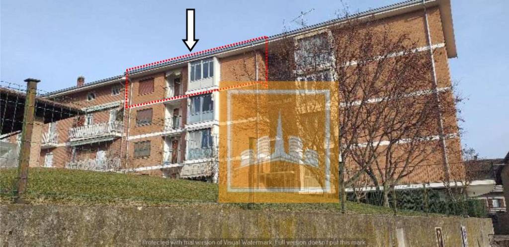 immagine annuncio 5 di 14