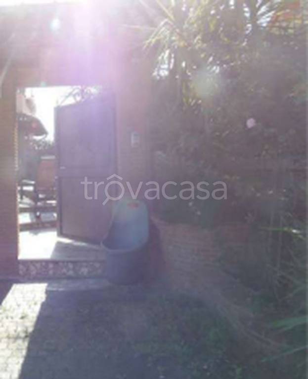 immagine annuncio 5 di 14