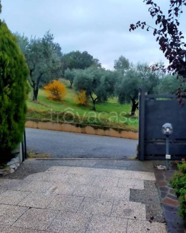 immagine annuncio 5 di 13