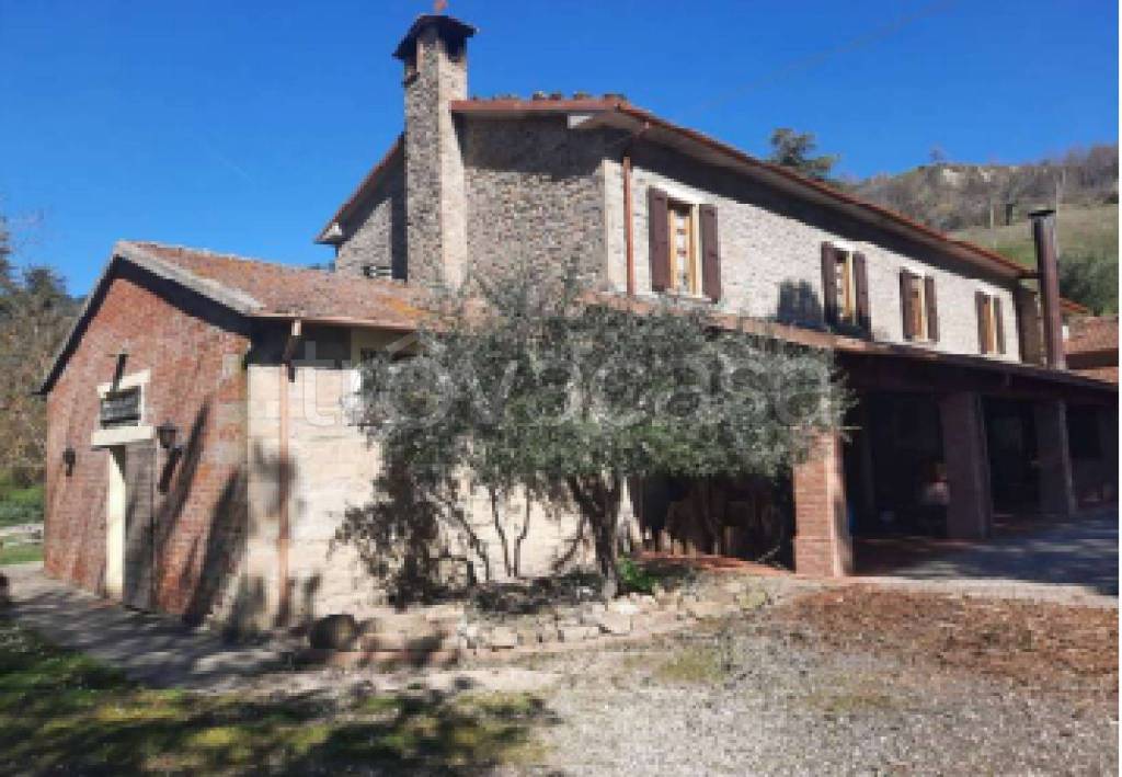 immagine annuncio 8 di 11