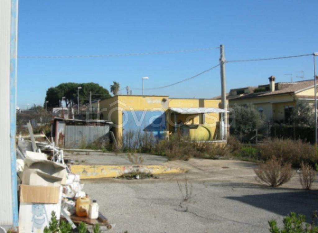 immagine annuncio 10 di 11
