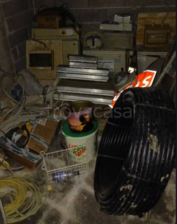 immagine annuncio 1 di 12