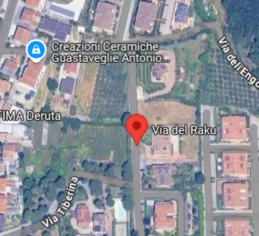 immagine annuncio 10 di 11