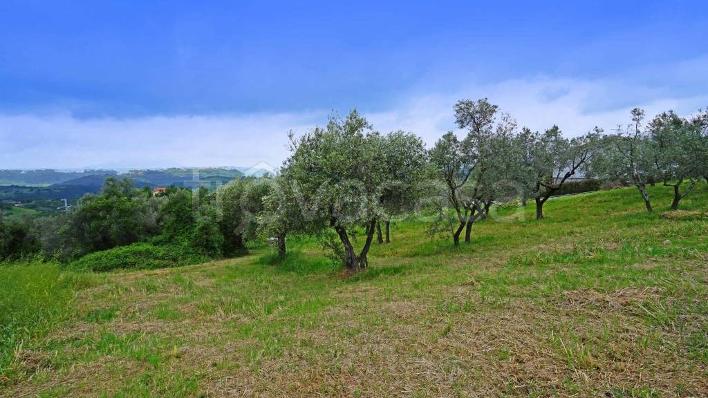 immagine annuncio 2 di 8