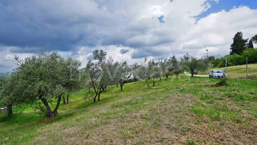 immagine annuncio 3 di 8