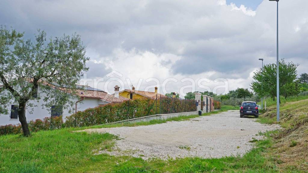 immagine annuncio 5 di 8