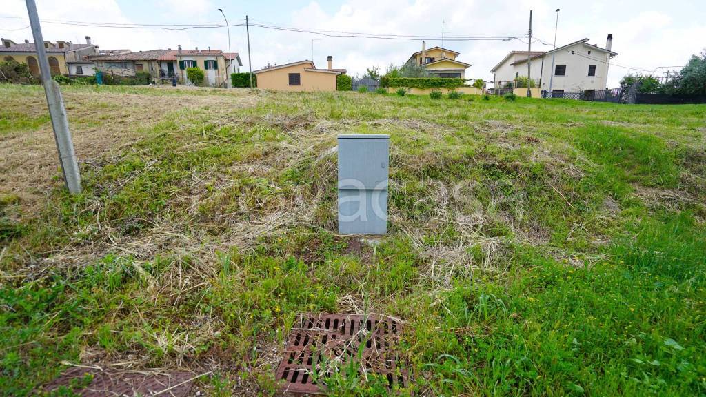 immagine annuncio 6 di 8
