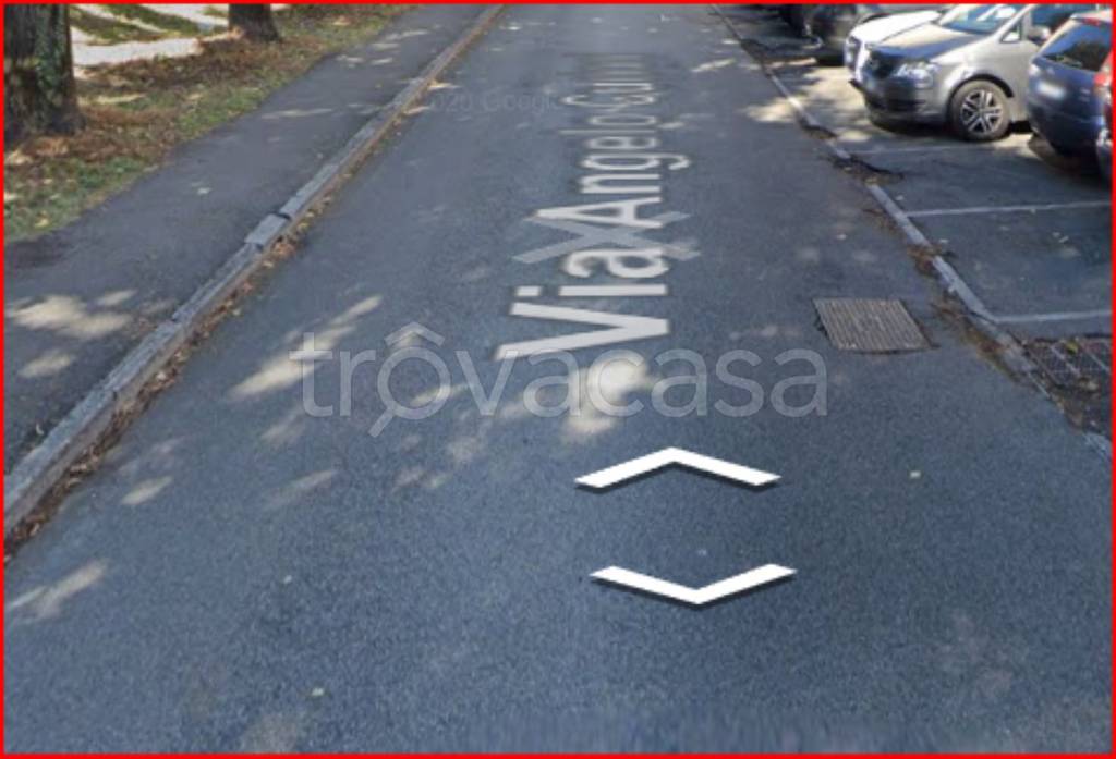 immagine annuncio 5 di 11
