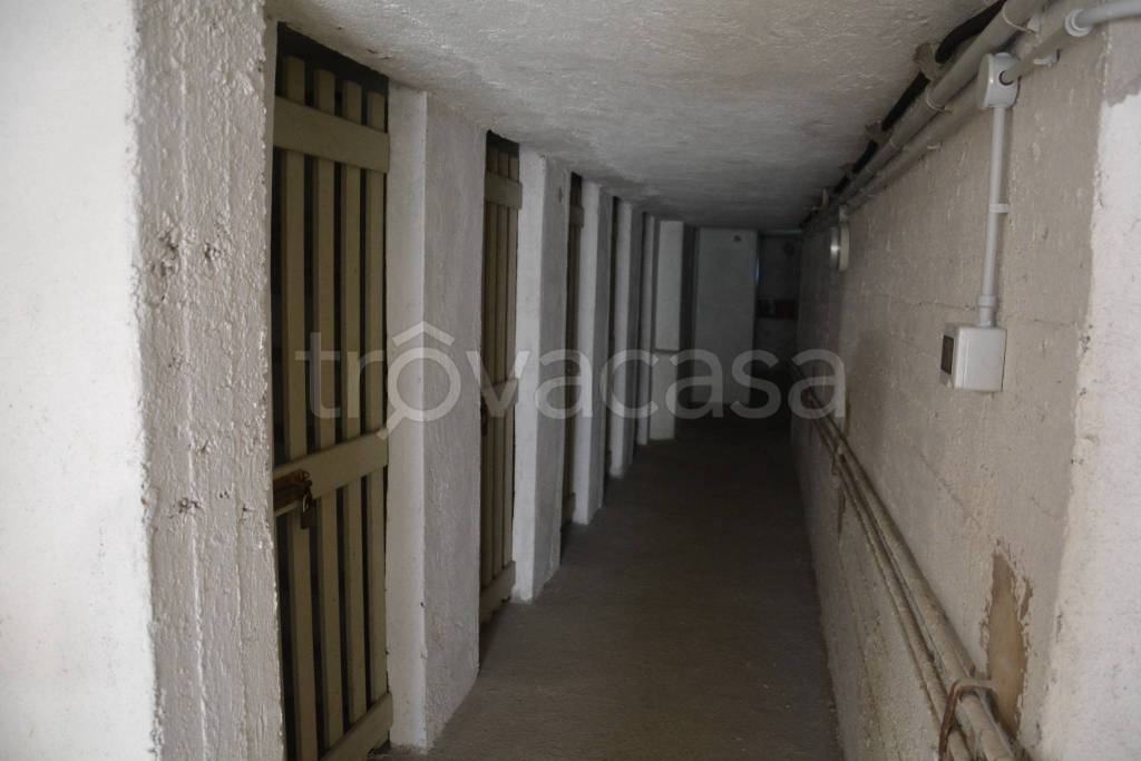 immagine annuncio 11 di 14