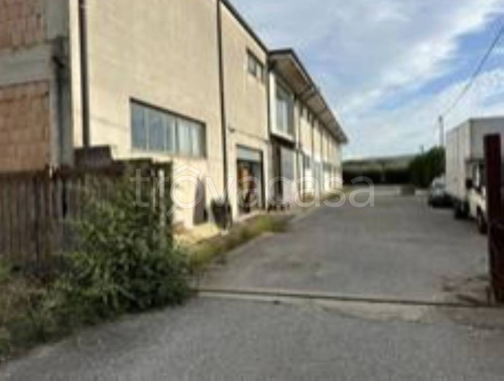 immagine annuncio 5 di 10