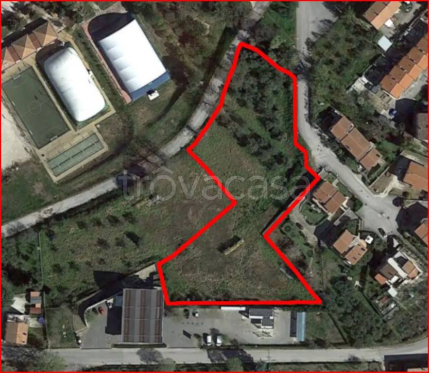 immagine annuncio 6 di 11
