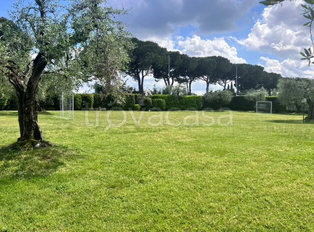 immagine annuncio 9 di 12
