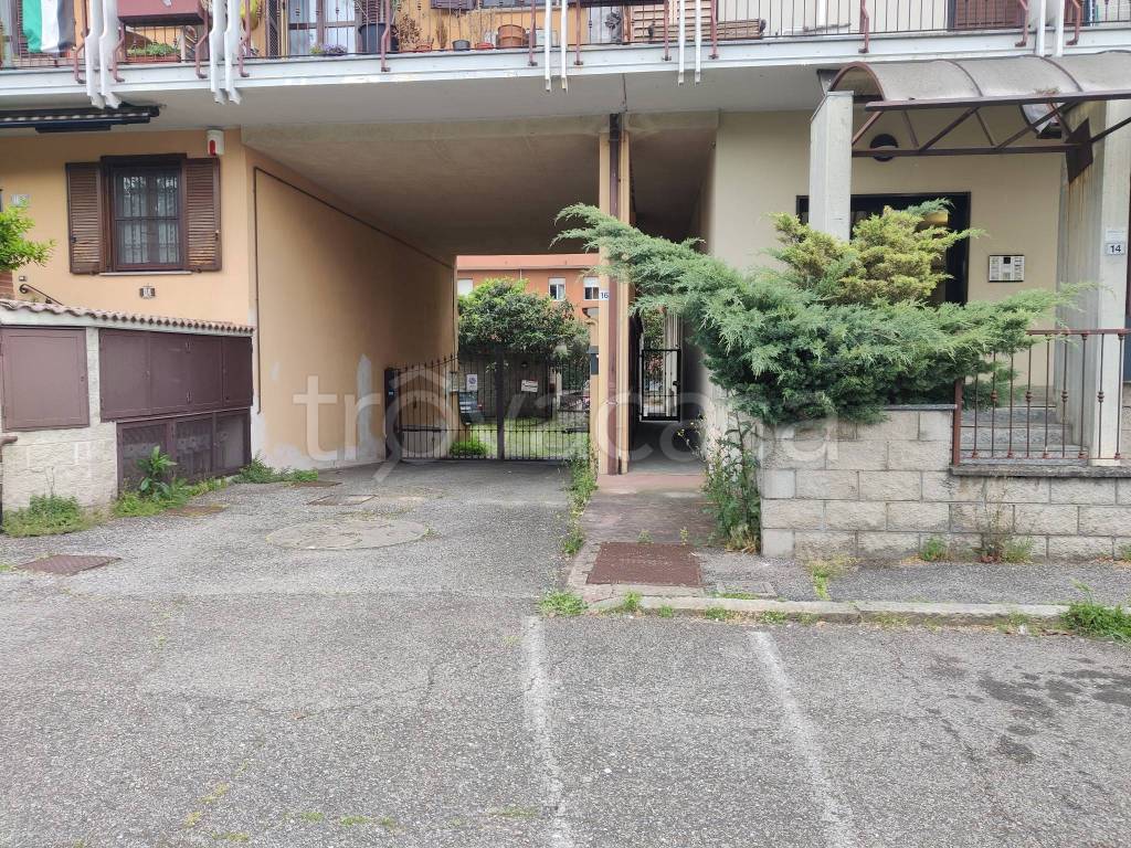 immagine annuncio 1 di 15