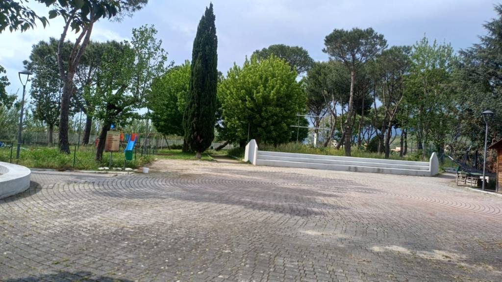 immagine annuncio 11 di 15